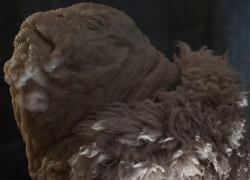 Nam - Not A Museum, il progetto di arte contemporanea di Manifattura Tabacchi presenta la mostra personale di Michele Gabriele a cura di Treti Galaxie