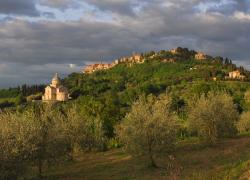 Nobile di Montepulciano, la sostenibilità dei vini del consorzio passa dal rilancio sul mercato con il progetto “Pievi”