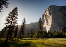 Cambiamento climatico e Giornata della Terra: significato, curiosità e tema 2022