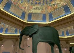 Biennale d'Arte di Venezia, Il latte dei sogni. LA GALLERY