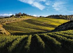 Frescobaldi, dal cuore della Toscana arriva l’annata 2018 di Tenuta Perano Chianti Classico Riserva Docg
