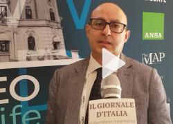 Facile.it, Andrea Polo: "Lavoriamo per rendere la nostra attività più sostenibile creando valore per il territorio"