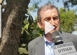 ASviS, Stefanini: "Necessario agganciare il PNRR con gli obiettivi dell'Agenda ONU 2030"