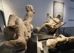 Pompei, rilevato di DNA di un abitante: verso la mappatura completa della popolazione