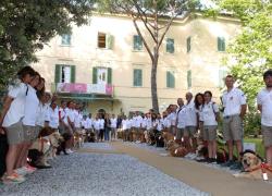 Andy Wharol per la SICS ,Squadra Italiana Cani da Salvataggio