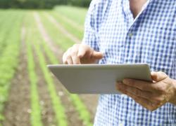 BASF acquisisce Horta per rafforzare la sua offerta nel digital farming
