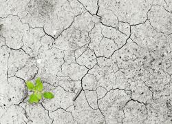 La siccità e il sacrificio agli Dei degli sciamani in Australia