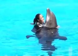 Gessica Notaro torna al delfinario a giocare coi delfini: "Sono felice". VIDEO