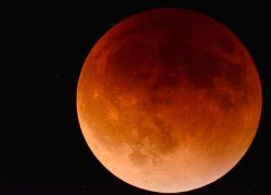 Significato della Superluna del Castoro, quando e come vederla in Italia: è la luna più grande e luminosa degli ultimi 6 anni