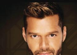 Riky Martin, violenza sessuale su nipote di 22 anni: "Rischia 50 anni di carcere"