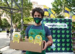 Mattia Santori e la cannabis: la "meglio gioventù"?