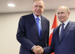 Le condizioni di Putin per sbloccare il grano ucraino: "Togliete le sanzioni sul grano russo". 