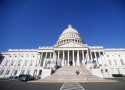 Usa, a Capitol Hill uomo si schianta con l'auto in fiamme contro il cancello: spara diversi colpi in aria e si suicida