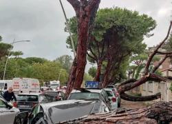 Nubifragio in Toscana: vento a 140 km/h. Due morti a Lucca e Carrara e decine di feriti