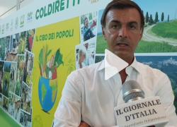 Prandini, Coldiretti: "Settore agroalimentare centrale per il Paese: la politica torni a fare progetti di medio e lungo periodo"