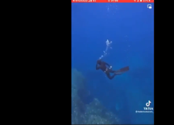 Capo Caccia, due sub pescano in apnea a -22 m in un'area protetta e postano il VIDEO. Denunciati