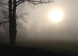 Caro bollette, la favola di Torre Beretti (Pavia), il paese della nebbia che regala l’energia grazie al sole