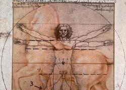 L’Uomo Vitruviano di Leonardo da Vinci: risolto il mistero dall'esperta Annalisa Di Maria