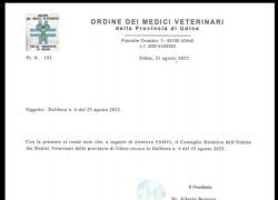 Obbligo vaccinale veterinari, il dottor Ferroni: "Ci dovrebbe essere libertà di scelta" - ESCLUSIVA