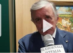 Sandro Parmiggiani: "Antonio Ligabue a Modena, 'L’ora senz’ombra' rivela l’essenza delle cose e delle persone"