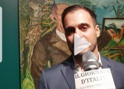 Andrea Isola: "Antonio Ligabue a Modena, presenti strutture perché persone con disabilità possano vedere le opere da vicino"
