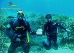 Ponza, resti di un'antica villa romana riemergono dal fondo del mare - VIDEO