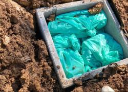 Gussago (BS), 10 milioni in giardino sotterrati dalla "coppia del cash": si cercano 93 milioni