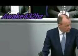 Merz al Parlamento Europeo: "24 settembre data da ricordare". Blackout prima del voto? Ma ha sbagliato data - VIDEO