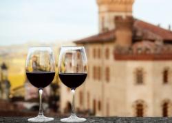 Il vino piemontese è il più ricco d'Italia