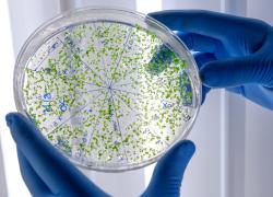 Olon  presenta piano biennale di investimenti da 30 mln nel centro biotech di Settimo Torinese