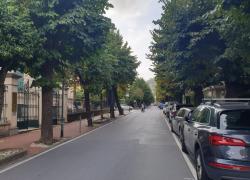 Santa Margherita Ligure, restauro di Viale Rainusso. Donadoni (Sindaco): "Non abbatteremo gli alberi, ma ce ne saranno 34 in più"