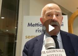 Gian Carlo Blangiardo, ISTAT: "Silver Economy, se sfruttata produce Pil: creare business intorno alla fascia senior"