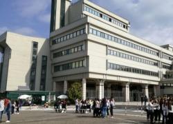 Covid, la storica sentenza del tribunale di Frosinone: "Lockdown e restrizioni illegittimi"