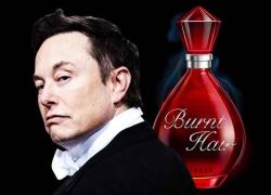 Elon Musk lancia il suo profumo provocatorio