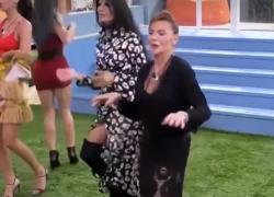 Ascolti tv e dati auditel giovedì 20 ottobre 2022: Grande Fratello vip vs Vincenzo Malinconico