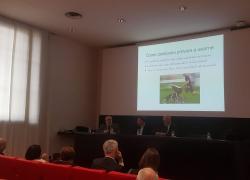  “La trappola delle culle”, presentato il libro dagli autori Luca Cifoni e Diodato Pirone sul fenomeno della denatalità
