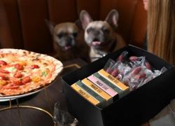 Da 'Crazy Pizza' di Flavio Briatore arriva il menù gourmet per i cani