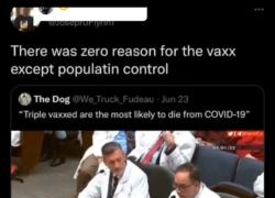 Vaccino covid, medici del Tennessee ammettono: "Chi ha fatto tre dosi ha più possibilità di morire" - VIDEO