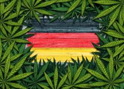 Germania verso la legalizzazione della cannabis: "30g a uso personale"