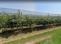 Ravenna, omicidio nel frutteto con arma da fuoco: non si esclude alcuna pista di indagine 