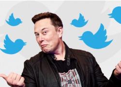Twitter, Elon Musk lancia la spunta blu a 8 dollari