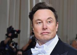 Twitter, l'Onu scrive a Musk: "Garantisca rispetto dei diritti umani". Spunta blu a pagamento sul social: 8 dollari al mese