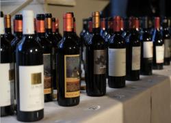 Vino, il Consorzio Doc Terre di Pisa presenta la sua offerta in Danimarca e Svezia