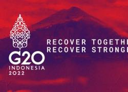 G20 Bali, sul tavolo: salute globale, transizione energetica e trasformazione digitale. Primo incontro internazionale per Meloni 