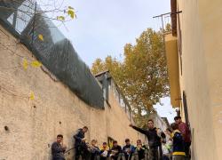 Ischia e gli Angeli del fango: i giovani dell’isola e la rete di solidarietà dopo la frana