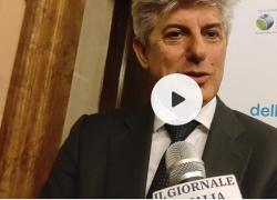 Marco Patuano, A2A: "Riforma art. 9 della Costituzione, previsto investimento da 16 mld per la sostenibilità"