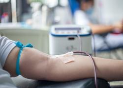 Milano, paziente rifiuta trasfusione con sangue contaminato da vaccino Covid: vittoria stragiudiziale per l'Art. 32 della Costituzione