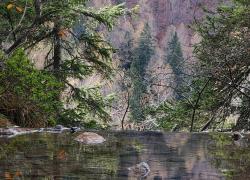 La magia dell’autunno vista da Honor e il fotografo Stefano Guindani


