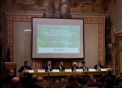 Rapporto DEKRA. Luigi Di Matteo, Dirigente ACI: "Fondamentale agire sull'educazione stradale"