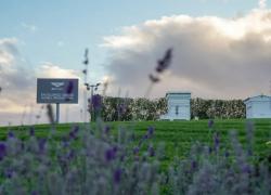 Grand Tourer di Bentley: massima attenzione all’eccellenza  